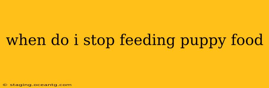 when do i stop feeding puppy food