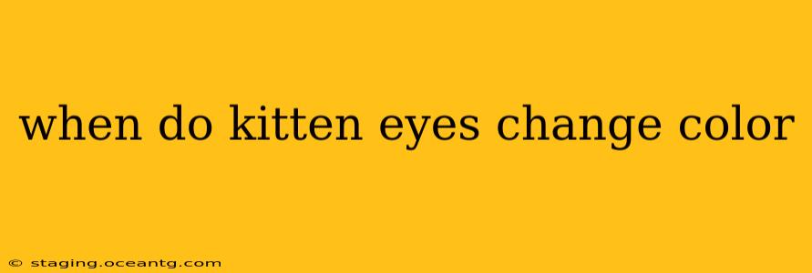 when do kitten eyes change color