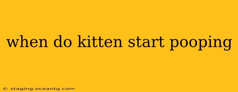 when do kitten start pooping