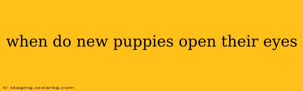 when do new puppies open their eyes