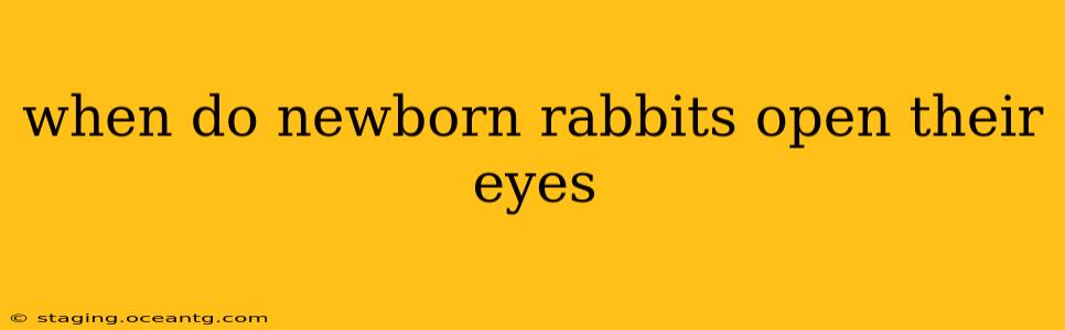 when do newborn rabbits open their eyes