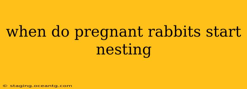 when do pregnant rabbits start nesting