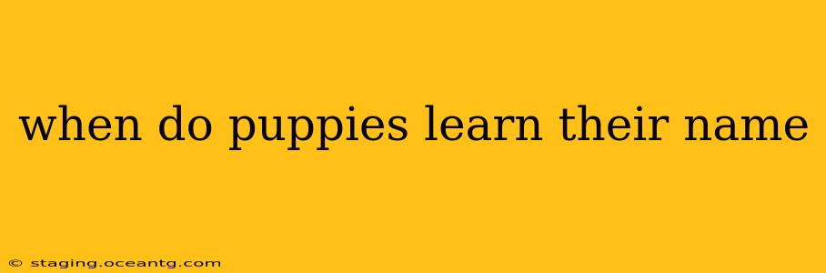 when do puppies learn their name
