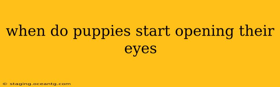 when do puppies start opening their eyes