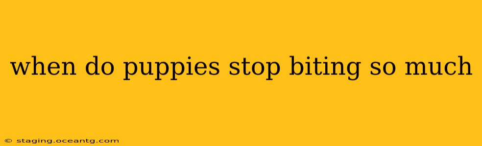 when do puppies stop biting so much