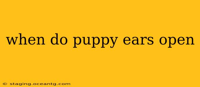 when do puppy ears open