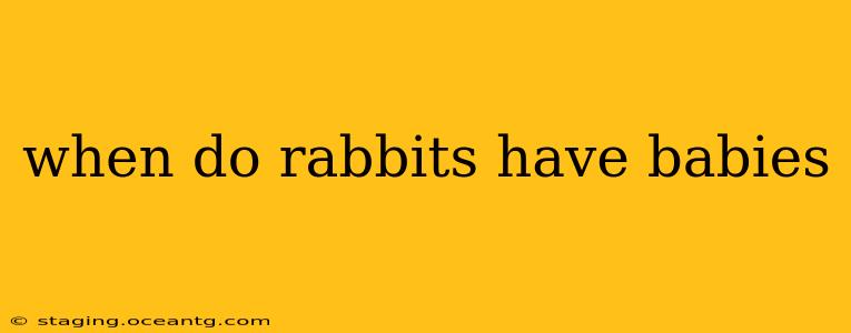 when do rabbits have babies