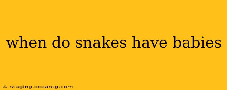 when do snakes have babies