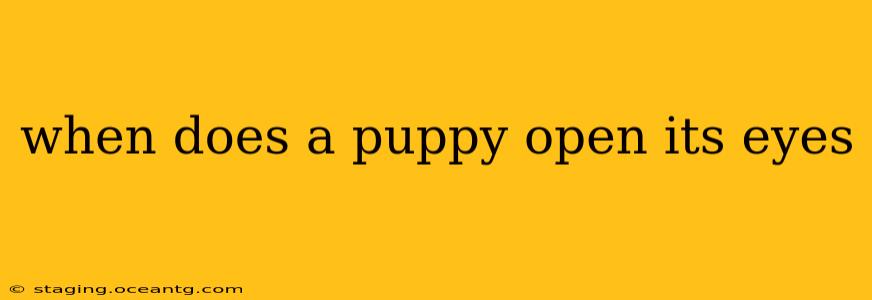 when does a puppy open its eyes