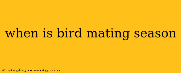 when is bird mating season