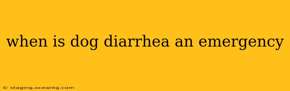 when is dog diarrhea an emergency