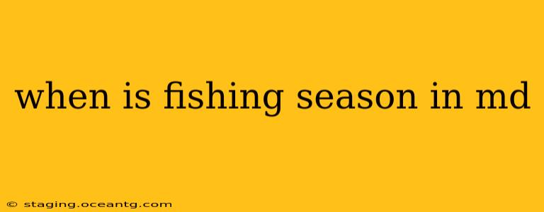when is fishing season in md