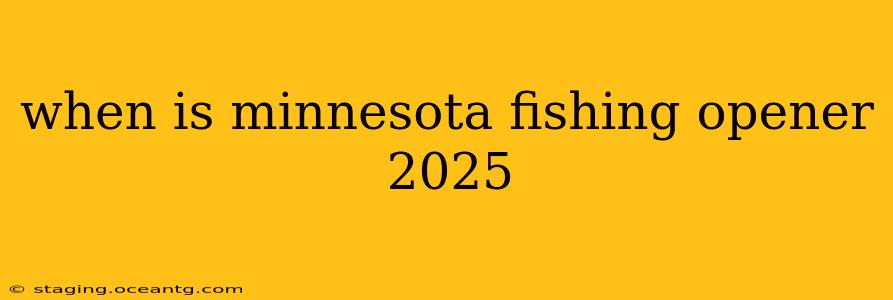 when is minnesota fishing opener 2025