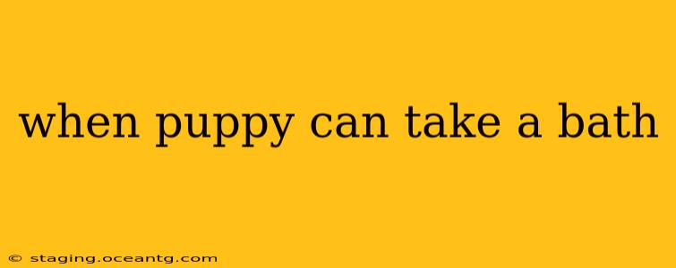 when puppy can take a bath