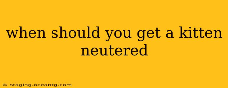 when should you get a kitten neutered