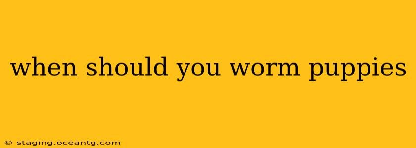 when should you worm puppies