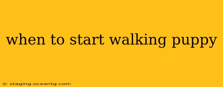 when to start walking puppy