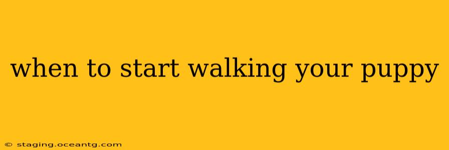 when to start walking your puppy