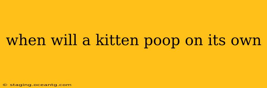 when will a kitten poop on its own