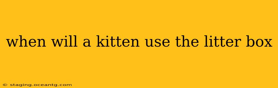 when will a kitten use the litter box