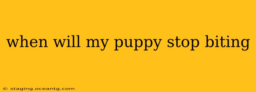 when will my puppy stop biting