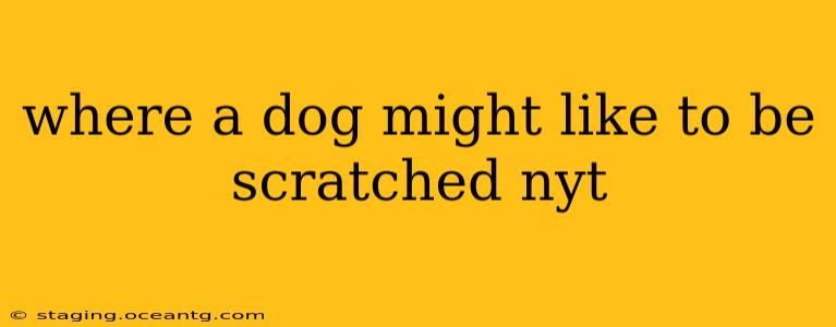 where a dog might like to be scratched nyt