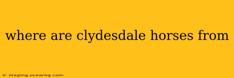 where are clydesdale horses from