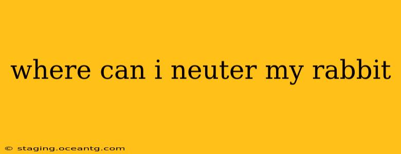 where can i neuter my rabbit