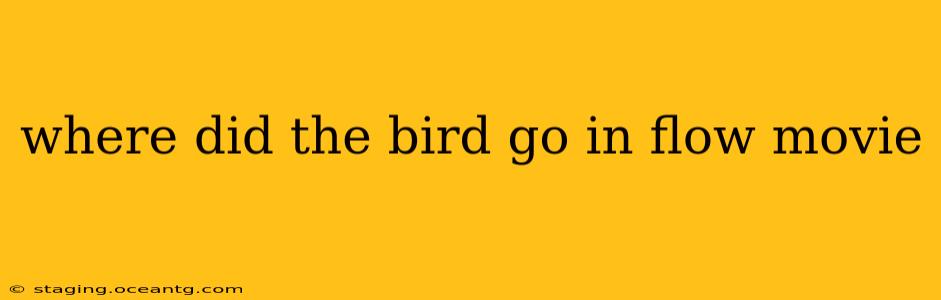 where did the bird go in flow movie