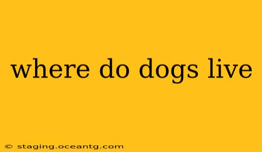 where do dogs live
