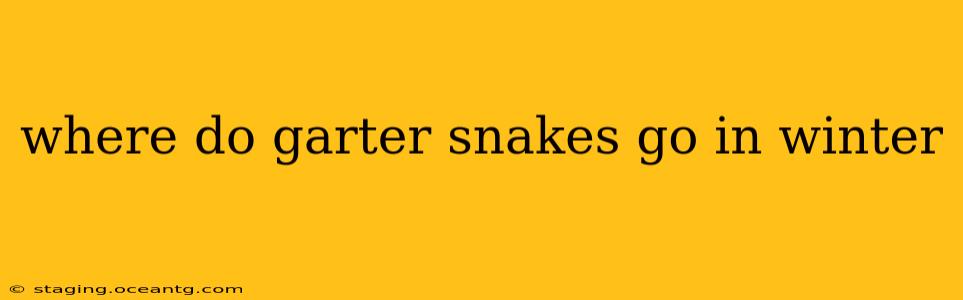 where do garter snakes go in winter