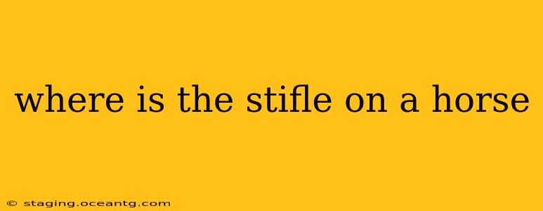 where is the stifle on a horse