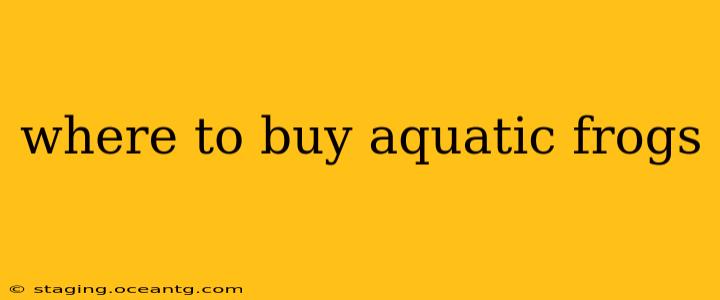 where to buy aquatic frogs