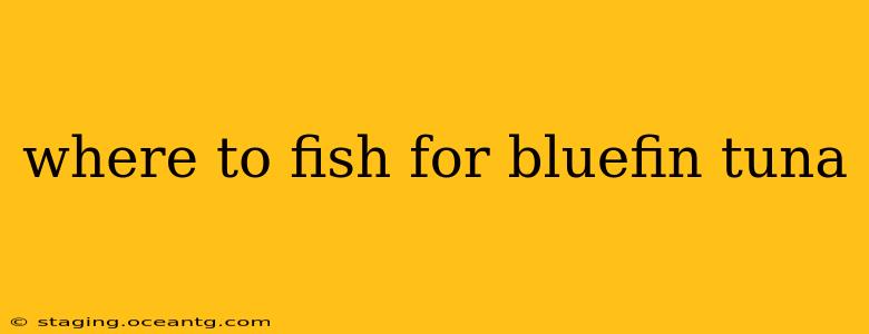 where to fish for bluefin tuna