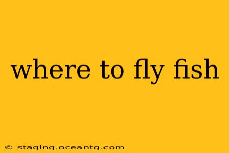 where to fly fish