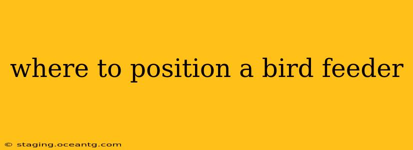 where to position a bird feeder