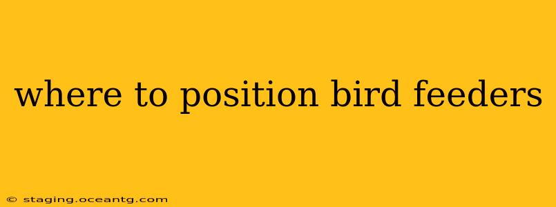 where to position bird feeders