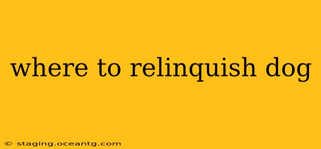 where to relinquish dog