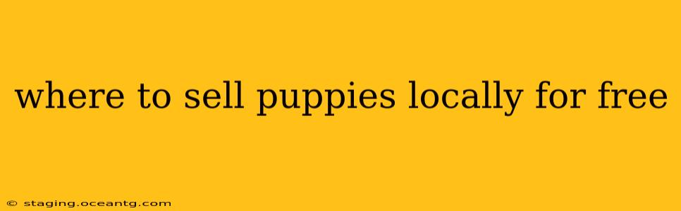 where to sell puppies locally for free