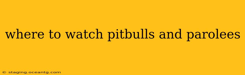 where to watch pitbulls and parolees