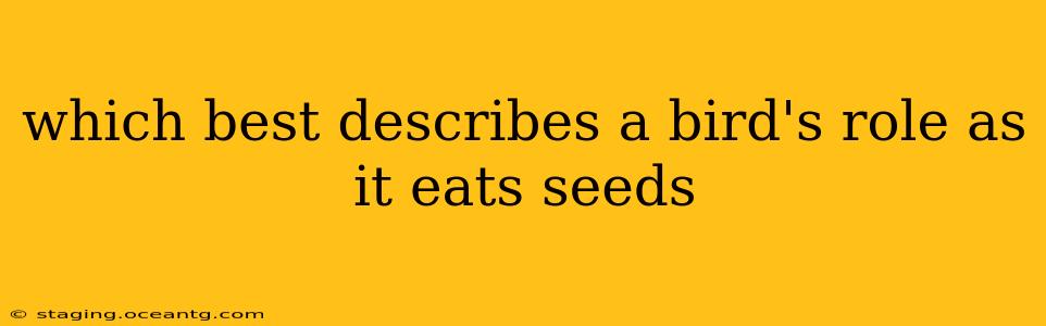 which best describes a bird's role as it eats seeds