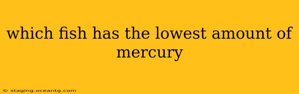 which fish has the lowest amount of mercury