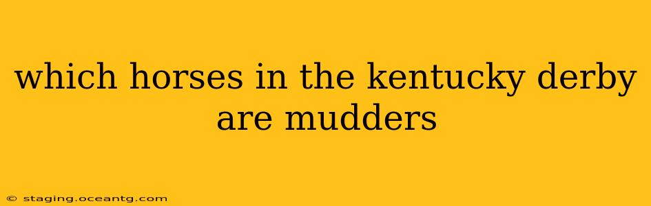 which horses in the kentucky derby are mudders