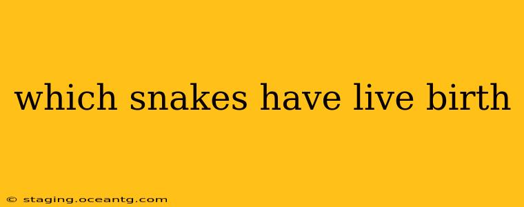which snakes have live birth