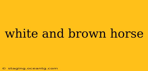 white and brown horse