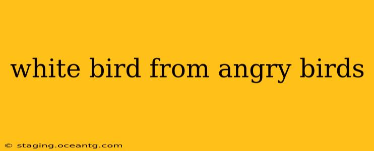 white bird from angry birds