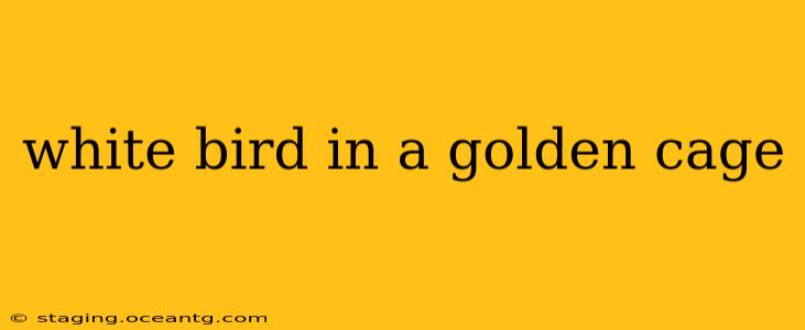 white bird in a golden cage