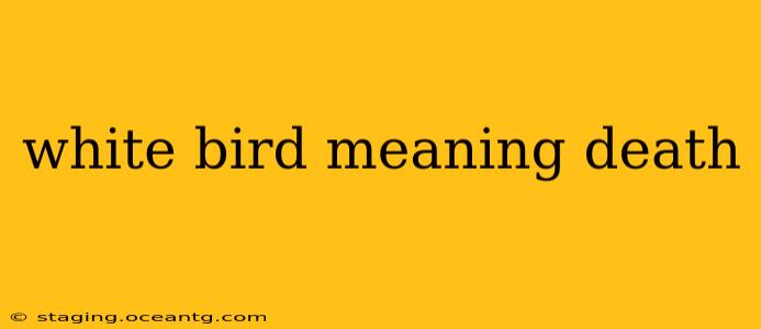 white bird meaning death