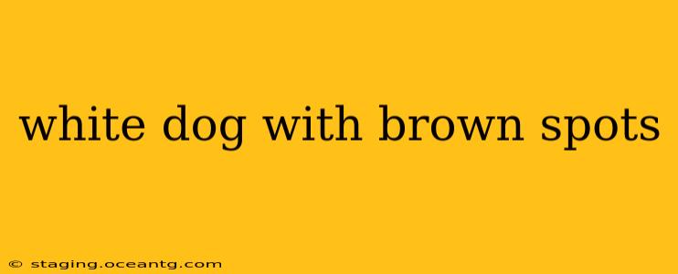 white dog with brown spots