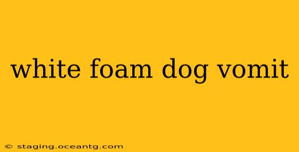 white foam dog vomit